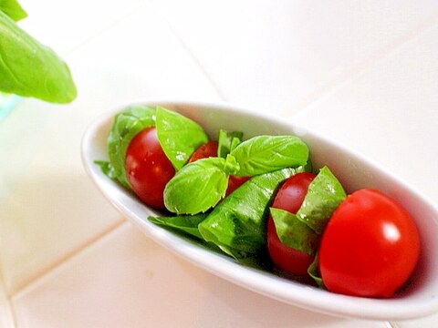 【簡単作り置き】バジル＆トマトのプチサラダ